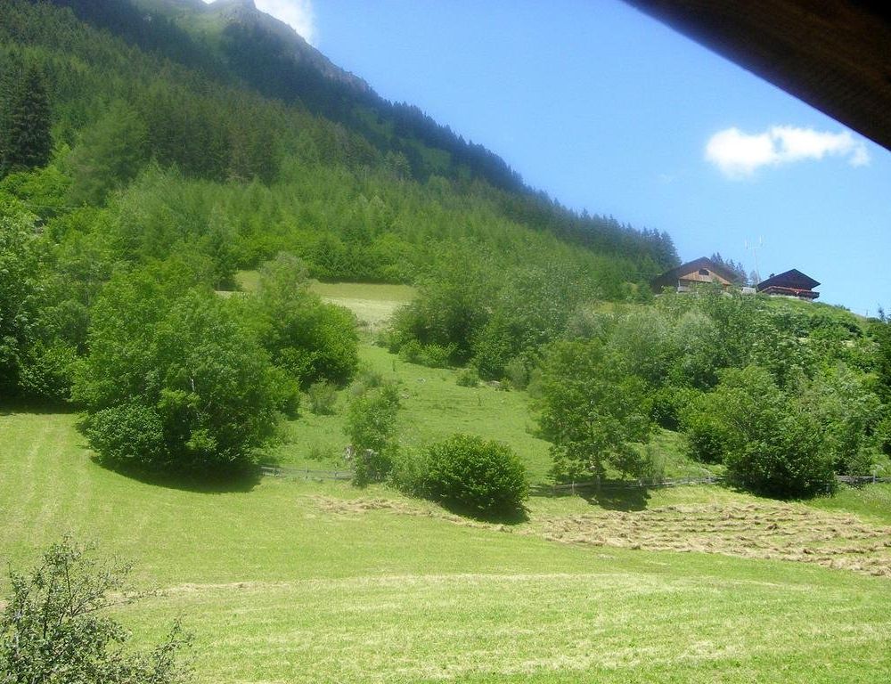 Outdoor Pictures 15