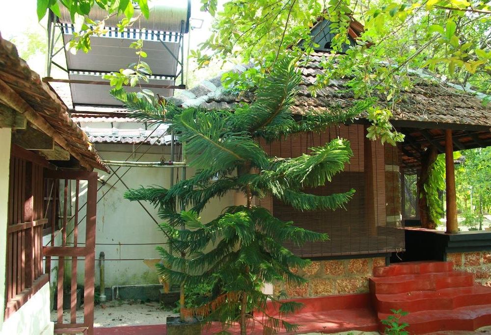 Outdoor Pictures 1