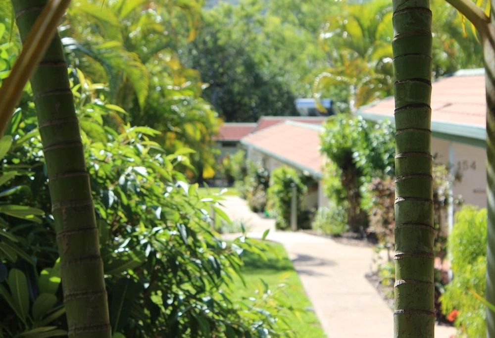 Outdoor Pictures 22