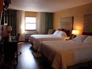 Hotel Image 5