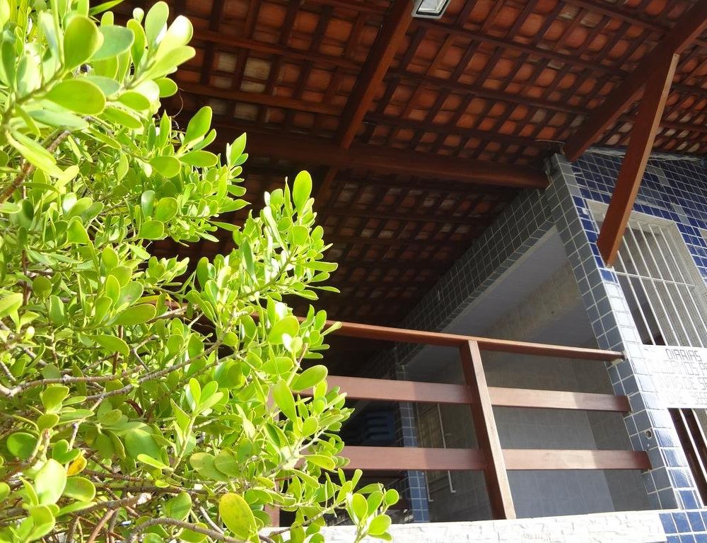 Outdoor Pictures 1