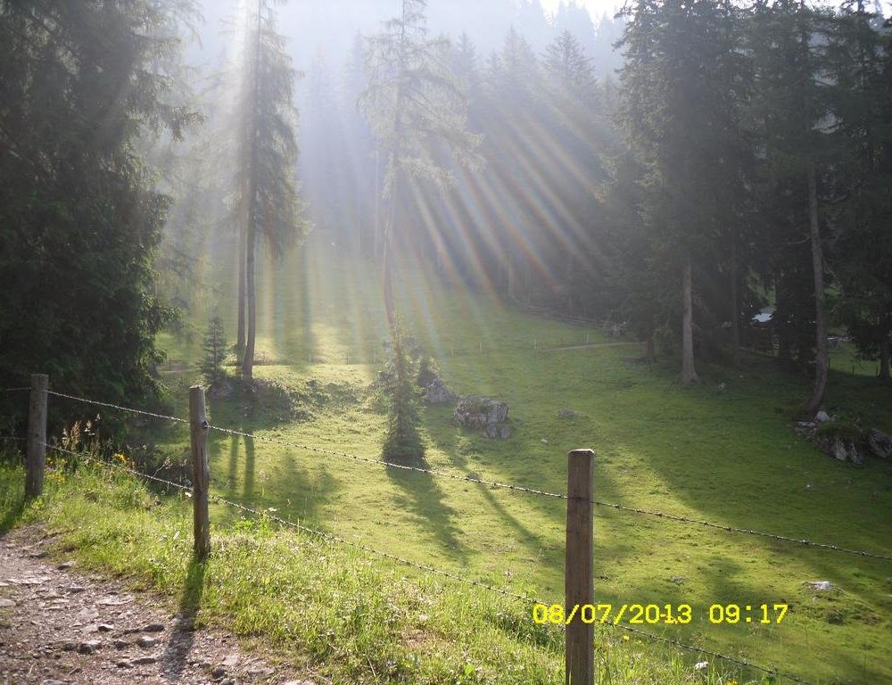 Outdoor Pictures 17
