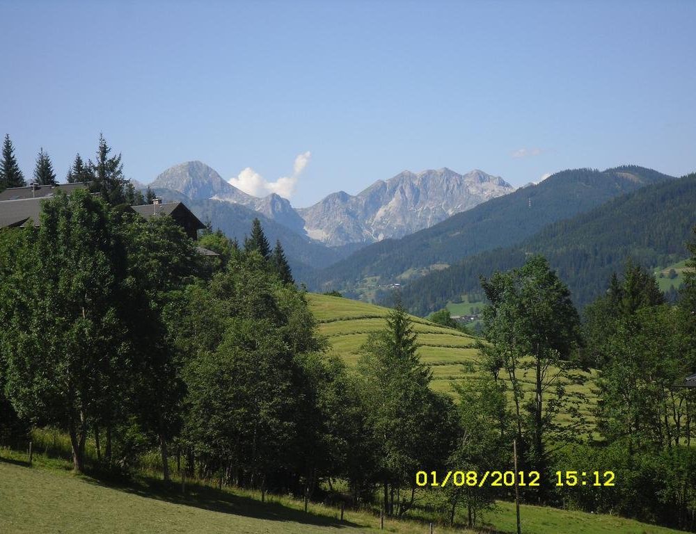 Outdoor Pictures 15