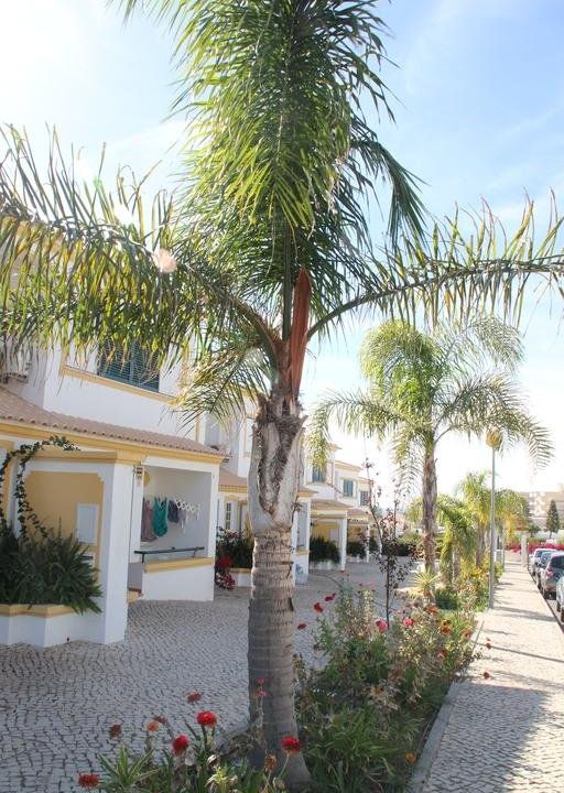 Villas Rufino