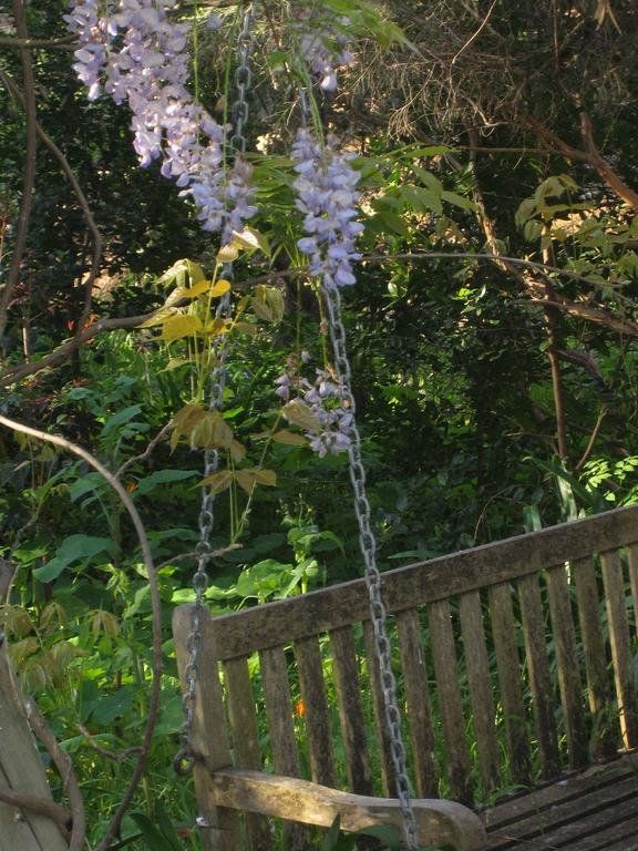 Outdoor Pictures 24