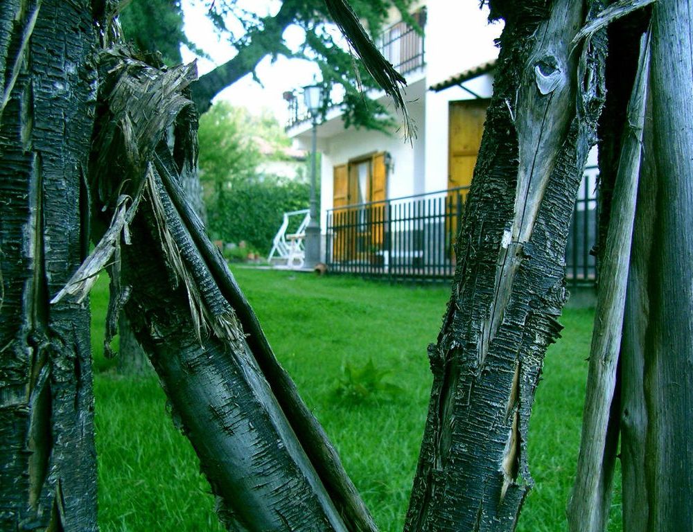 Outdoor Pictures 17