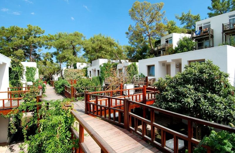 NG Phaselis Bay
