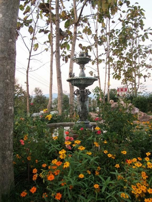 Outdoor Pictures 17