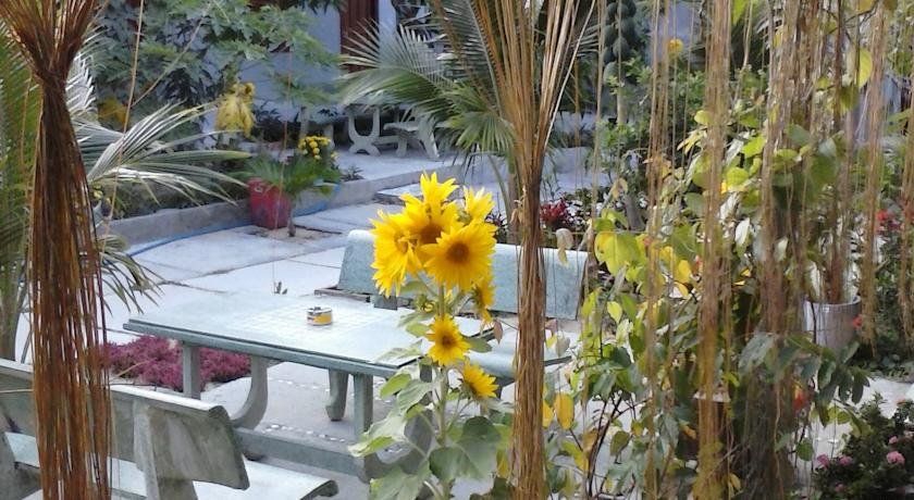 Outdoor Pictures 23
