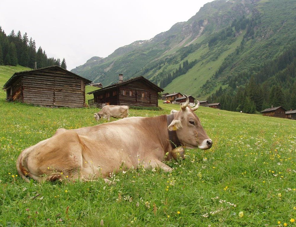 Outdoor Pictures 7
