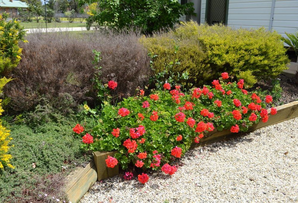Outdoor Pictures 17