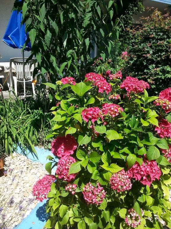 Outdoor Pictures 16