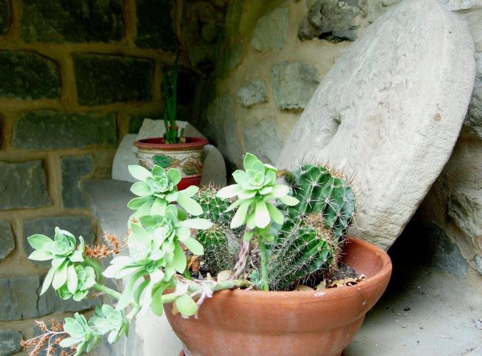 B&B Da Temperì