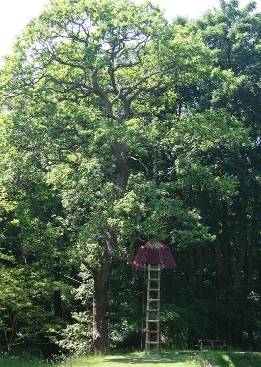 Woody Park