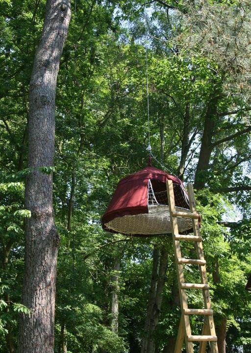 Woody Park