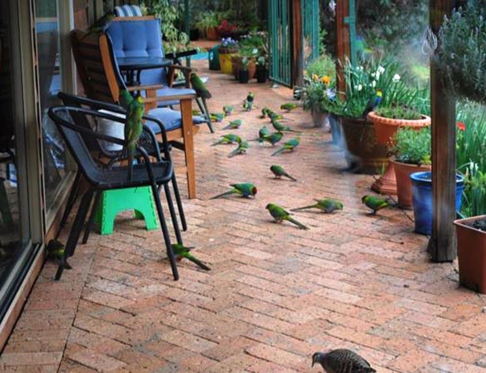 Outdoor Pictures 11