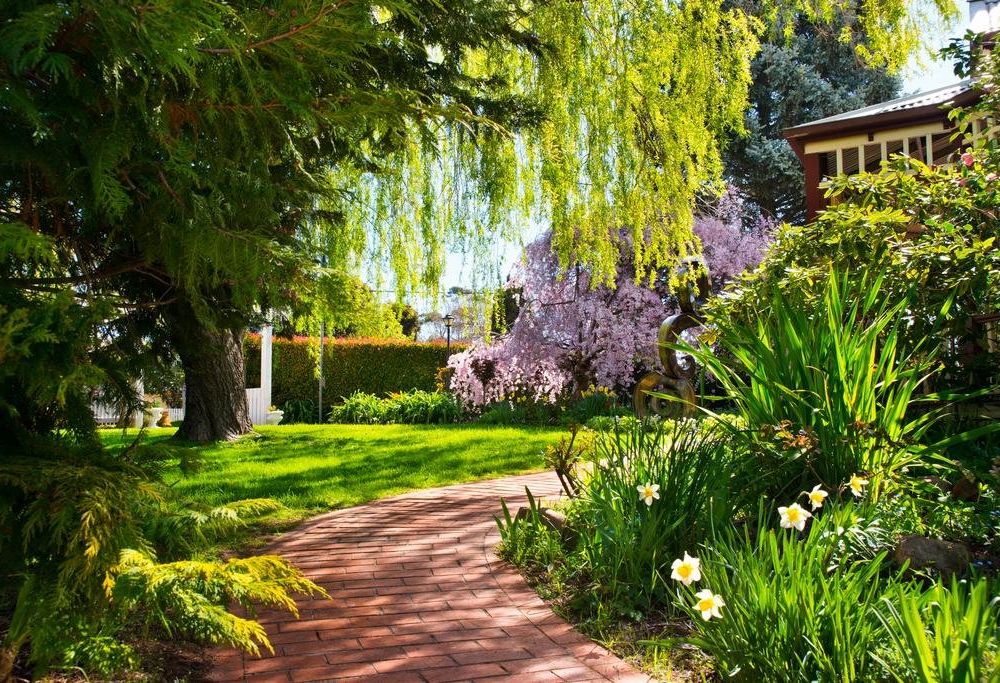 Outdoor Pictures 19