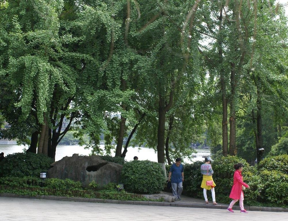 Outdoor Pictures 18