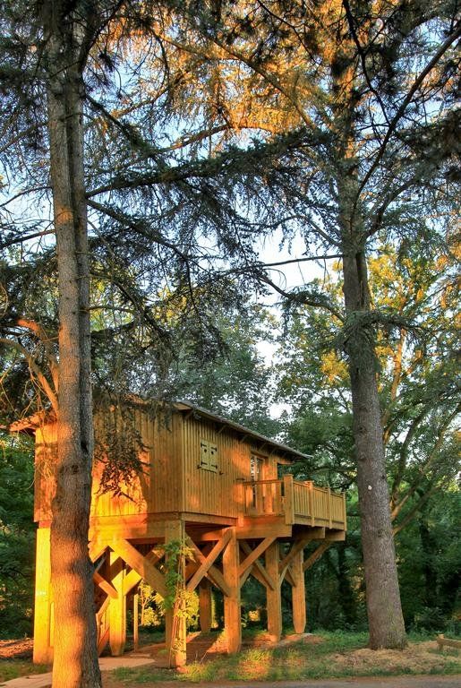 Outdoor Pictures 23
