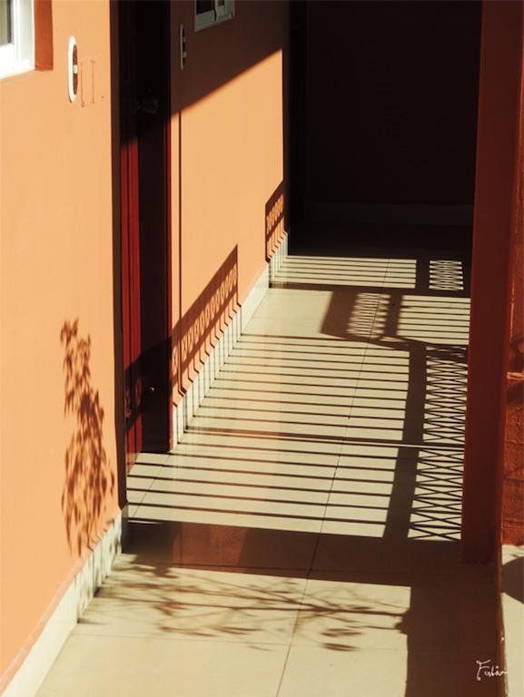 Outdoor Pictures 21