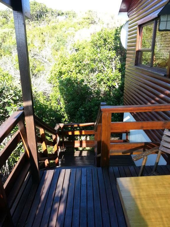 Outdoor Pictures 24