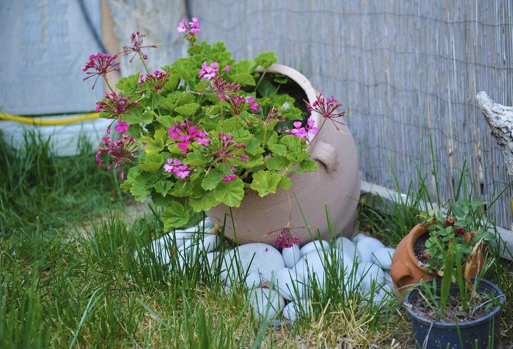 Outdoor Pictures 22