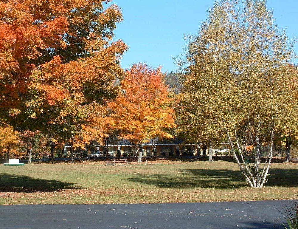 Outdoor Pictures 10