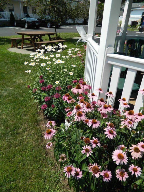 Outdoor Pictures 16