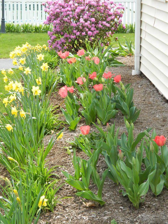 Outdoor Pictures 17