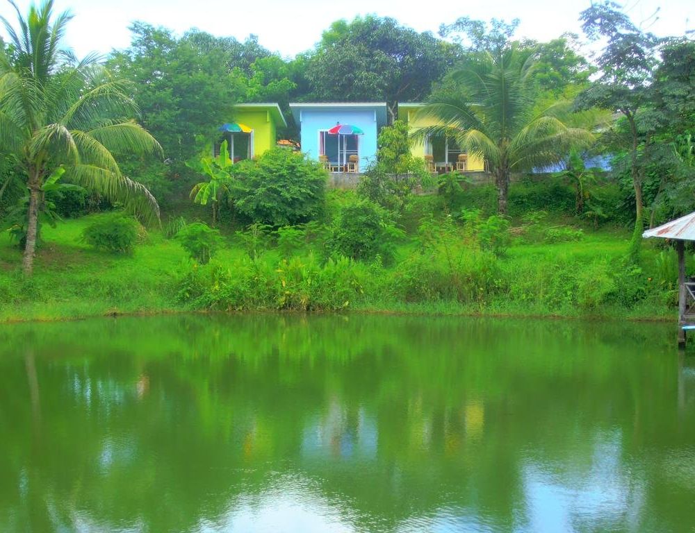 Outdoor Pictures 21