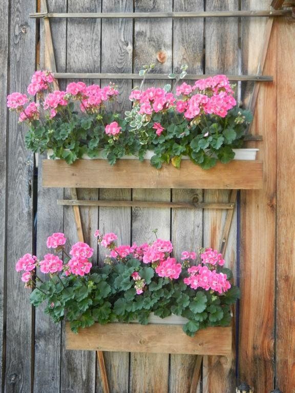Outdoor Pictures 15