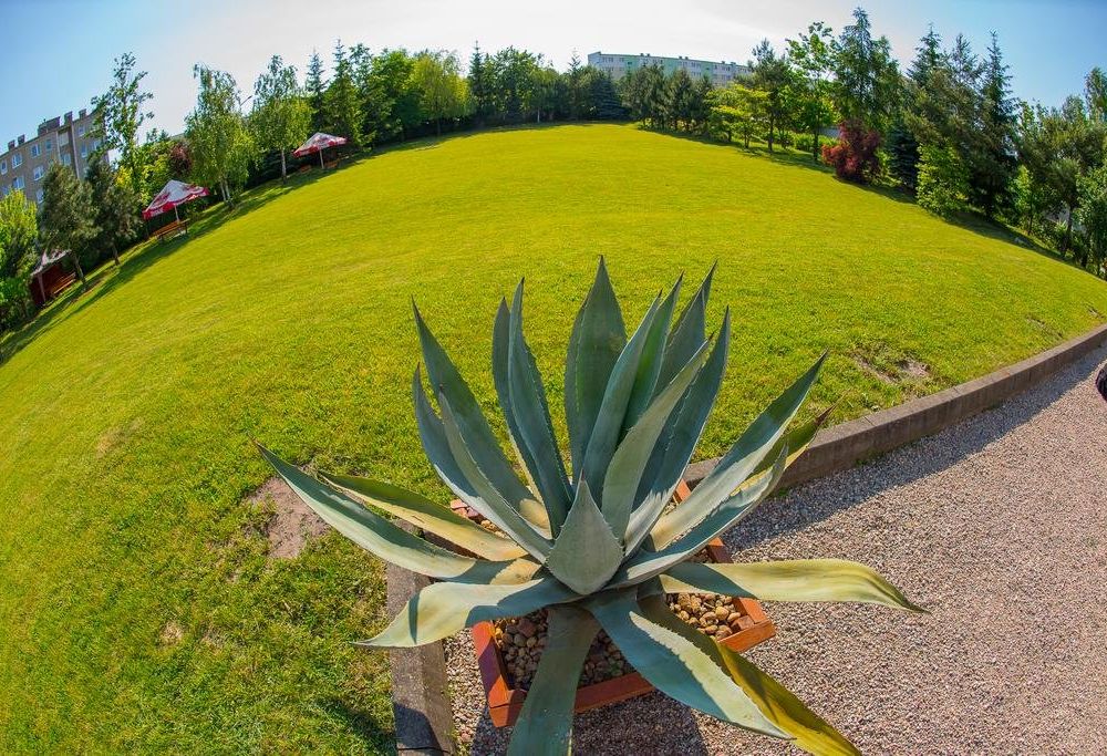 Outdoor Pictures 21