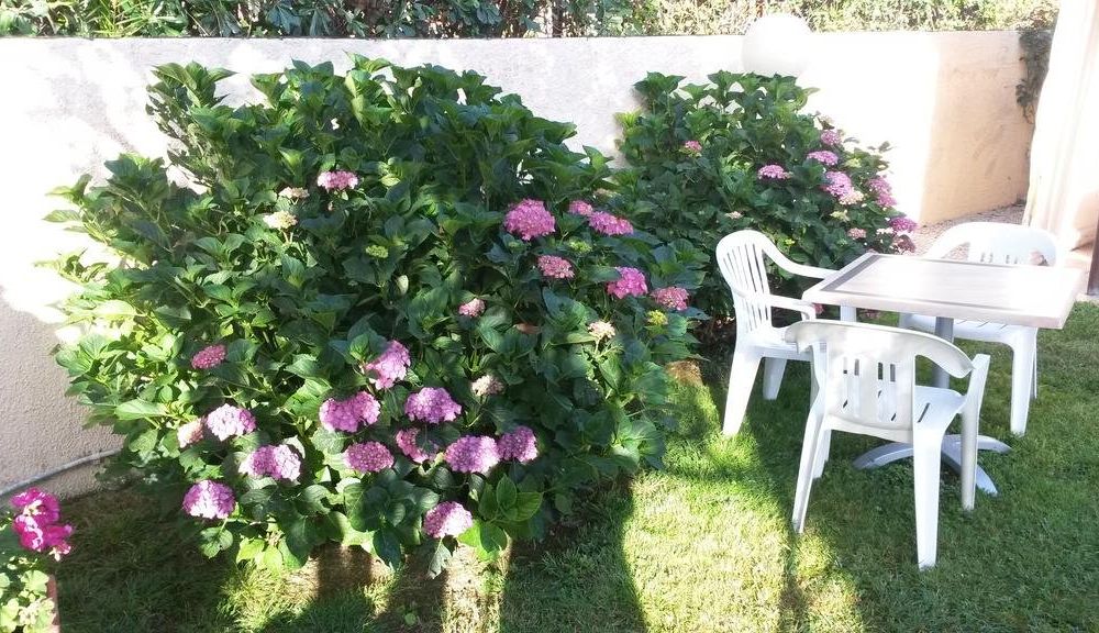 Outdoor Pictures 22