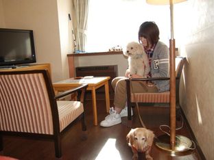 Hotel Image 3