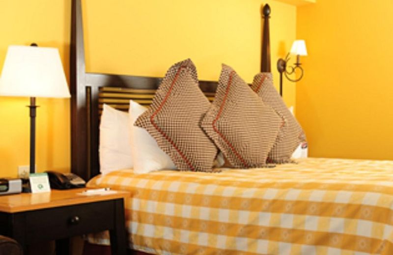 Bear Creek Mountain Resort