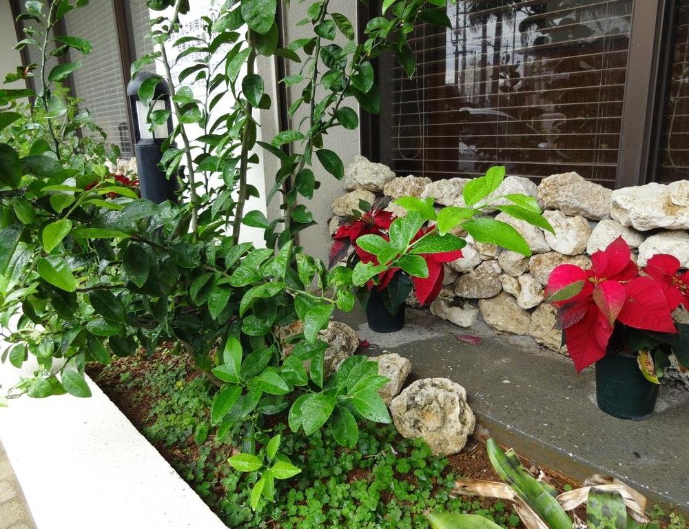 Outdoor Pictures 21