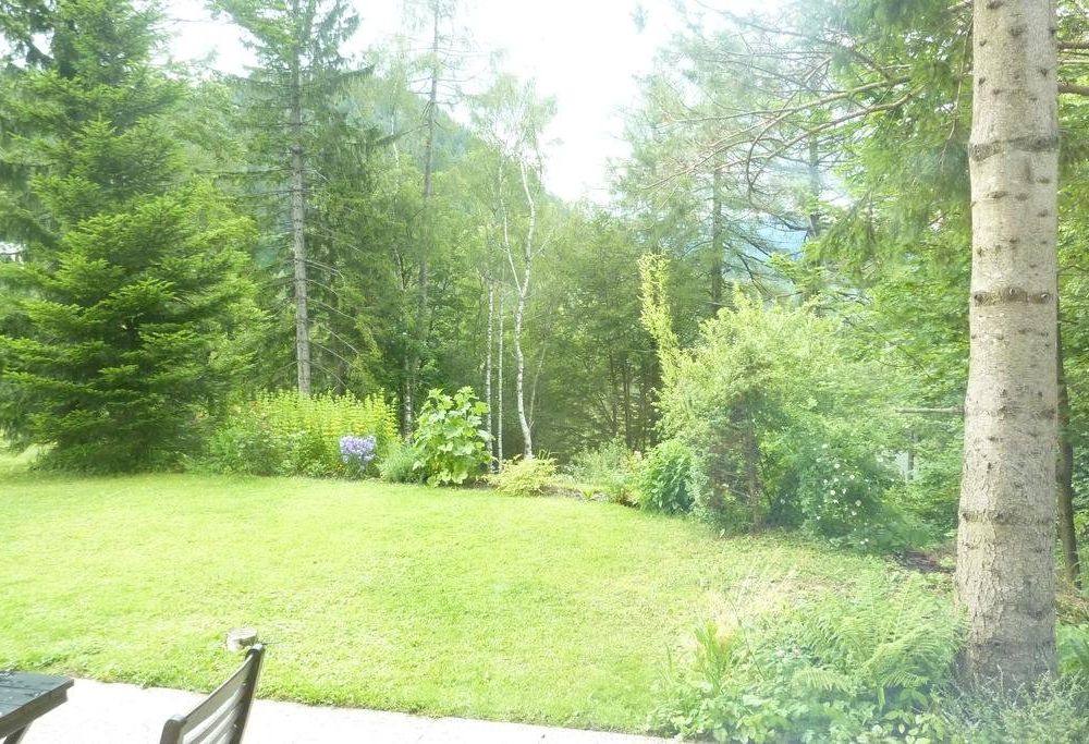 Outdoor Pictures 19