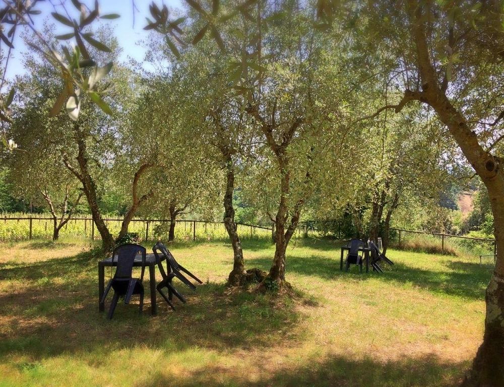 Outdoor Pictures 15