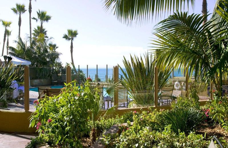 Pacific Terrace Hotel