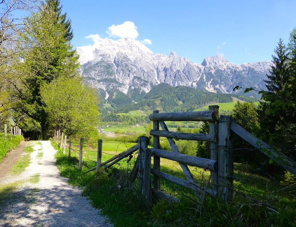 Outdoor Pictures 21