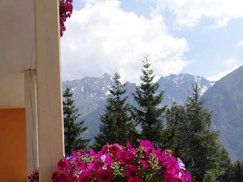Outdoor Pictures 20