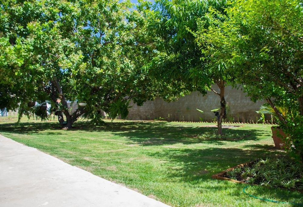 Outdoor Pictures 24
