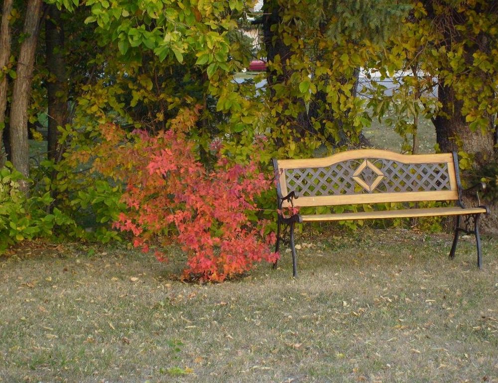 Outdoor Pictures 14