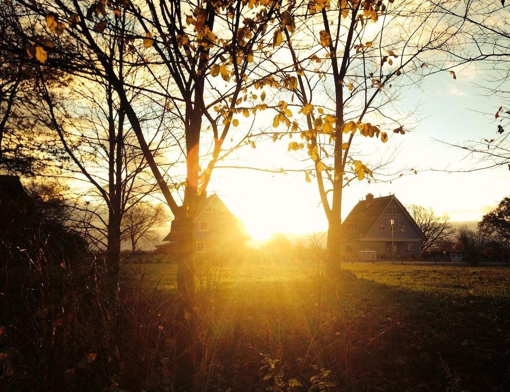Outdoor Pictures 1