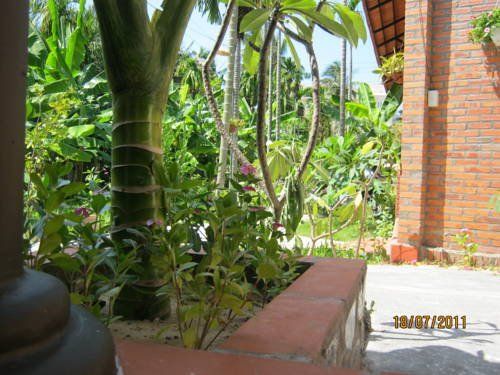 Outdoor Pictures 21