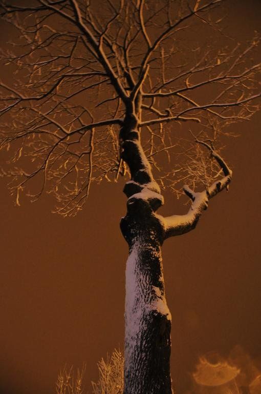 Outdoor Pictures 20