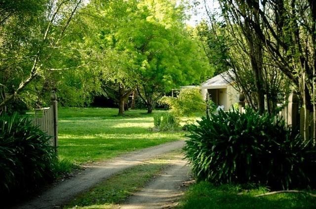 Outdoor Pictures 21