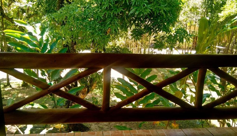 Outdoor Pictures 24