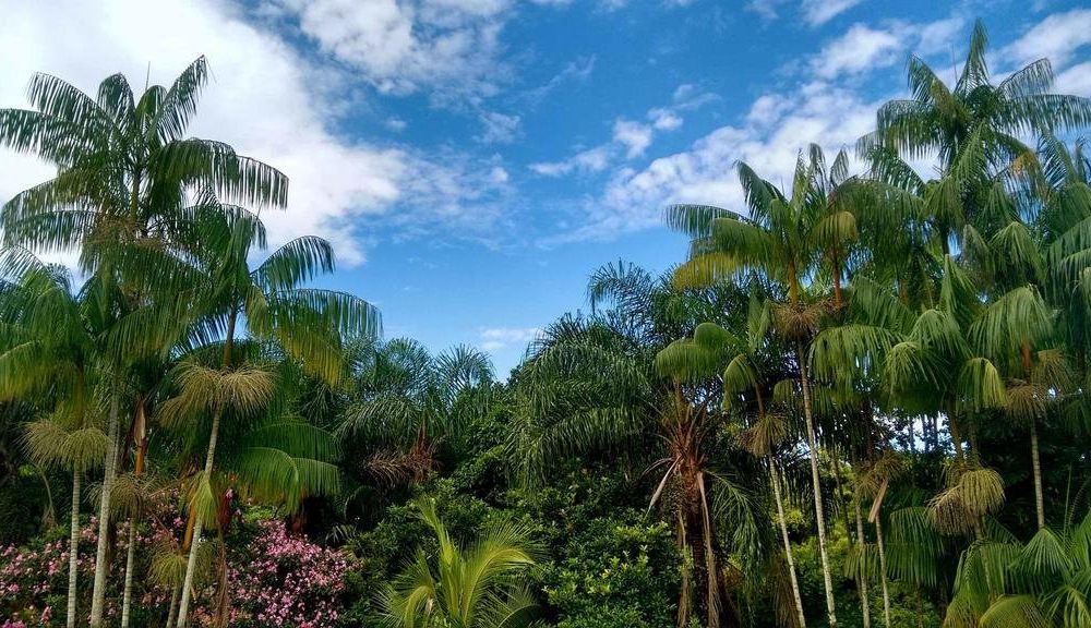 Outdoor Pictures 15