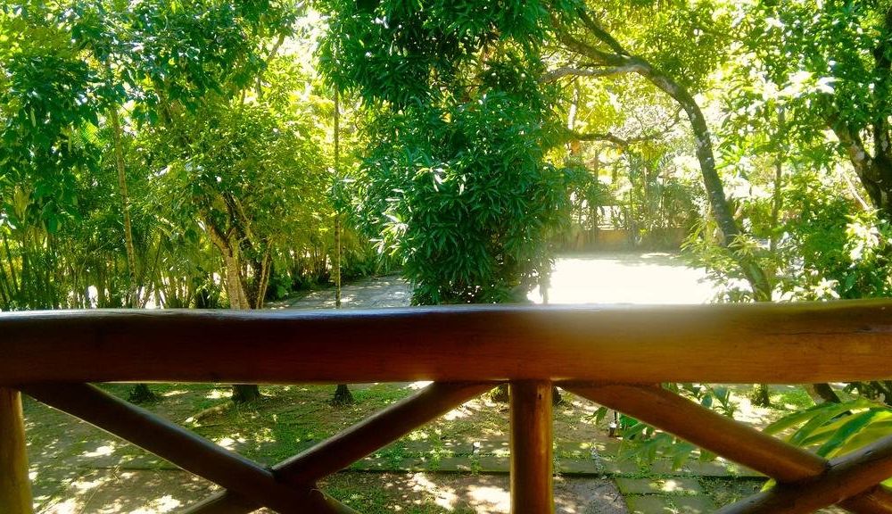 Outdoor Pictures 17